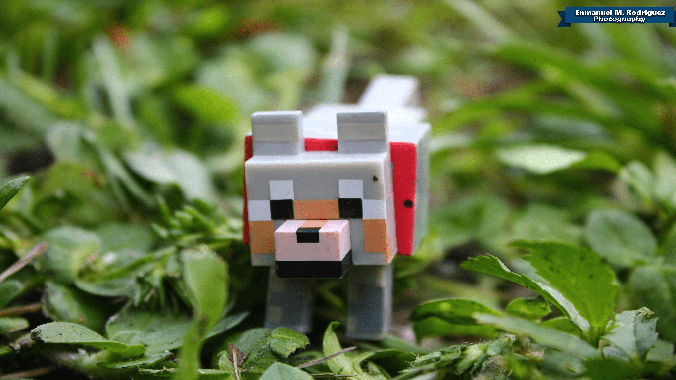 1366x768 Wolf Wallpaper Minecraft
