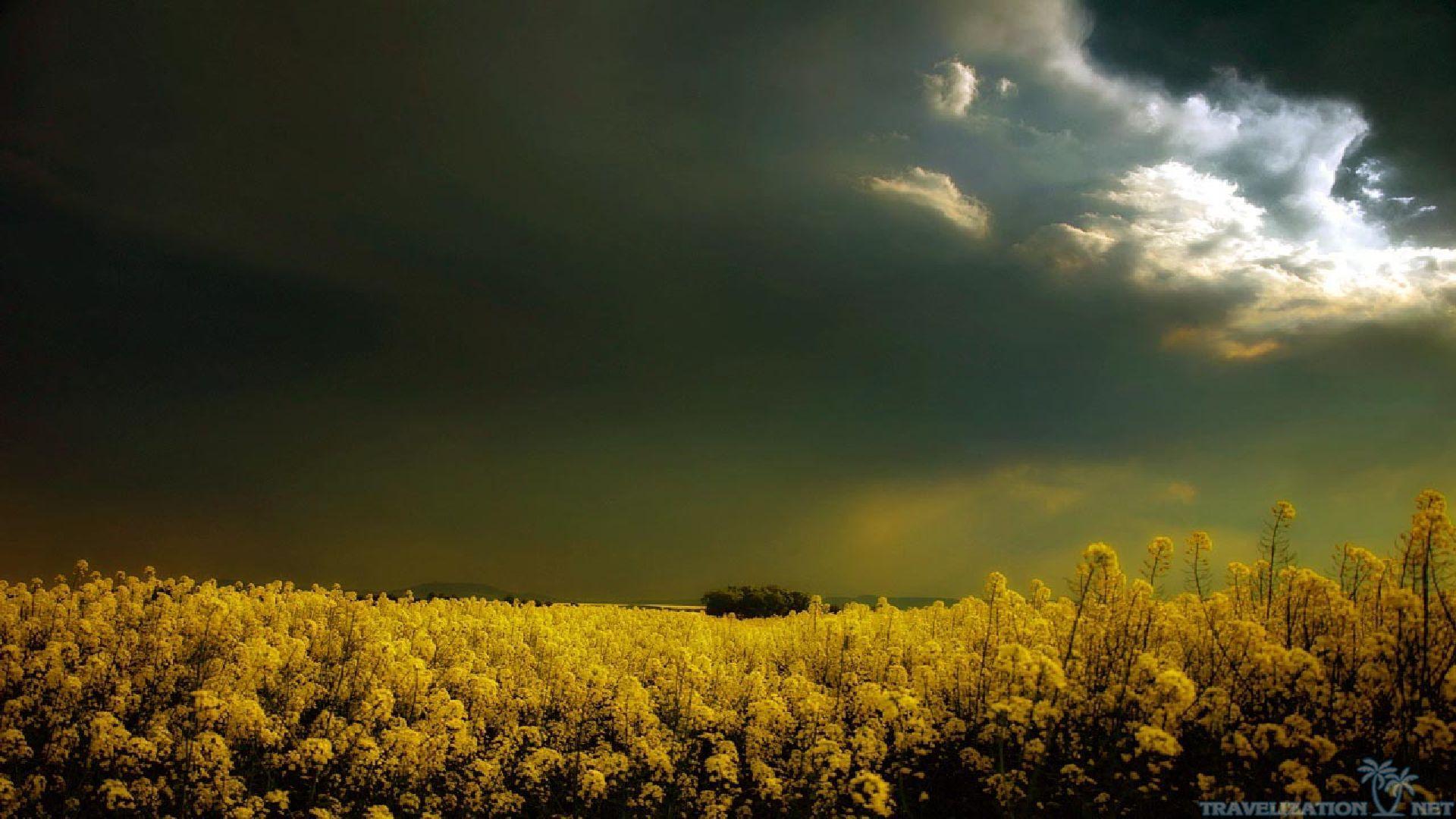 1920x1080 Free Weather Wallpaper