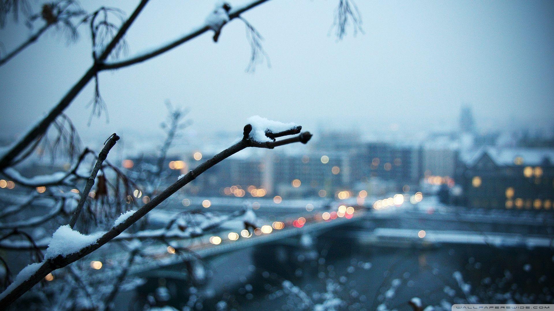 1920x1080 Cold wallpaperx1080