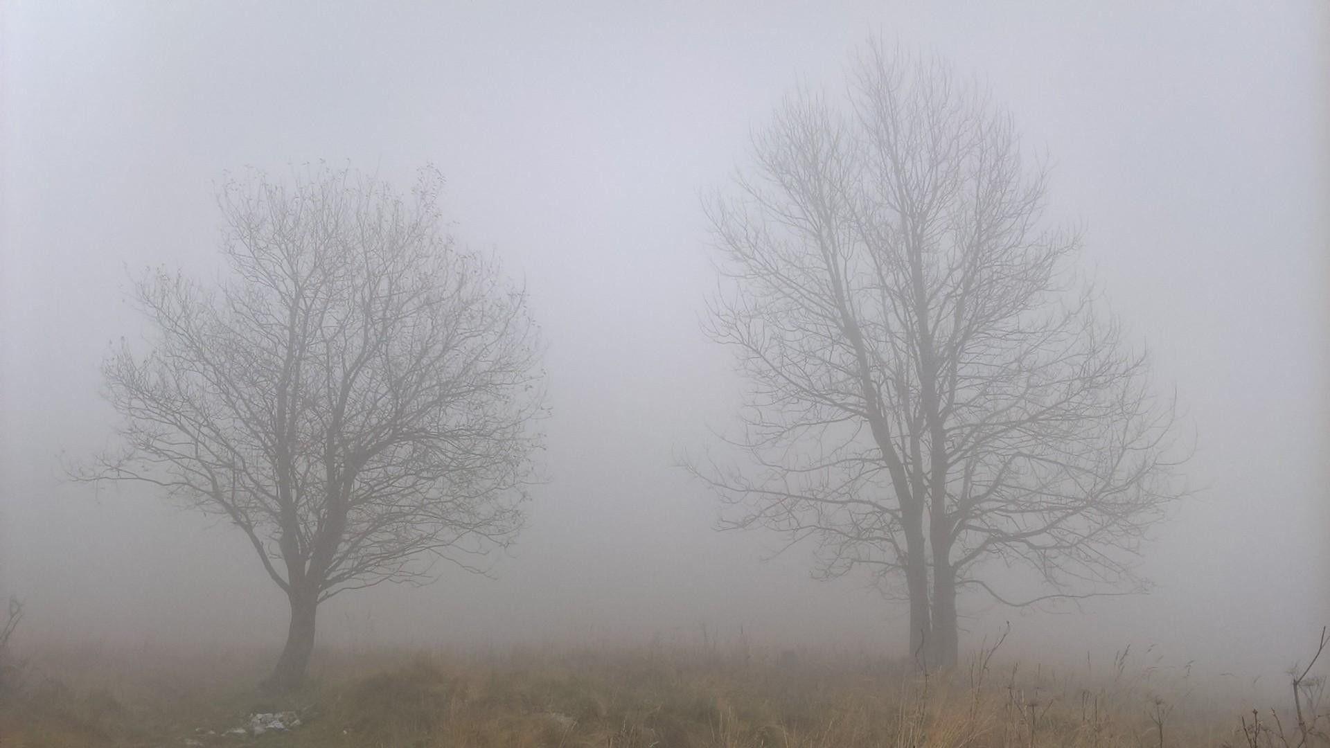 1920x1080 1920x Foggy Weather Wallpaper Wallpaper 4k