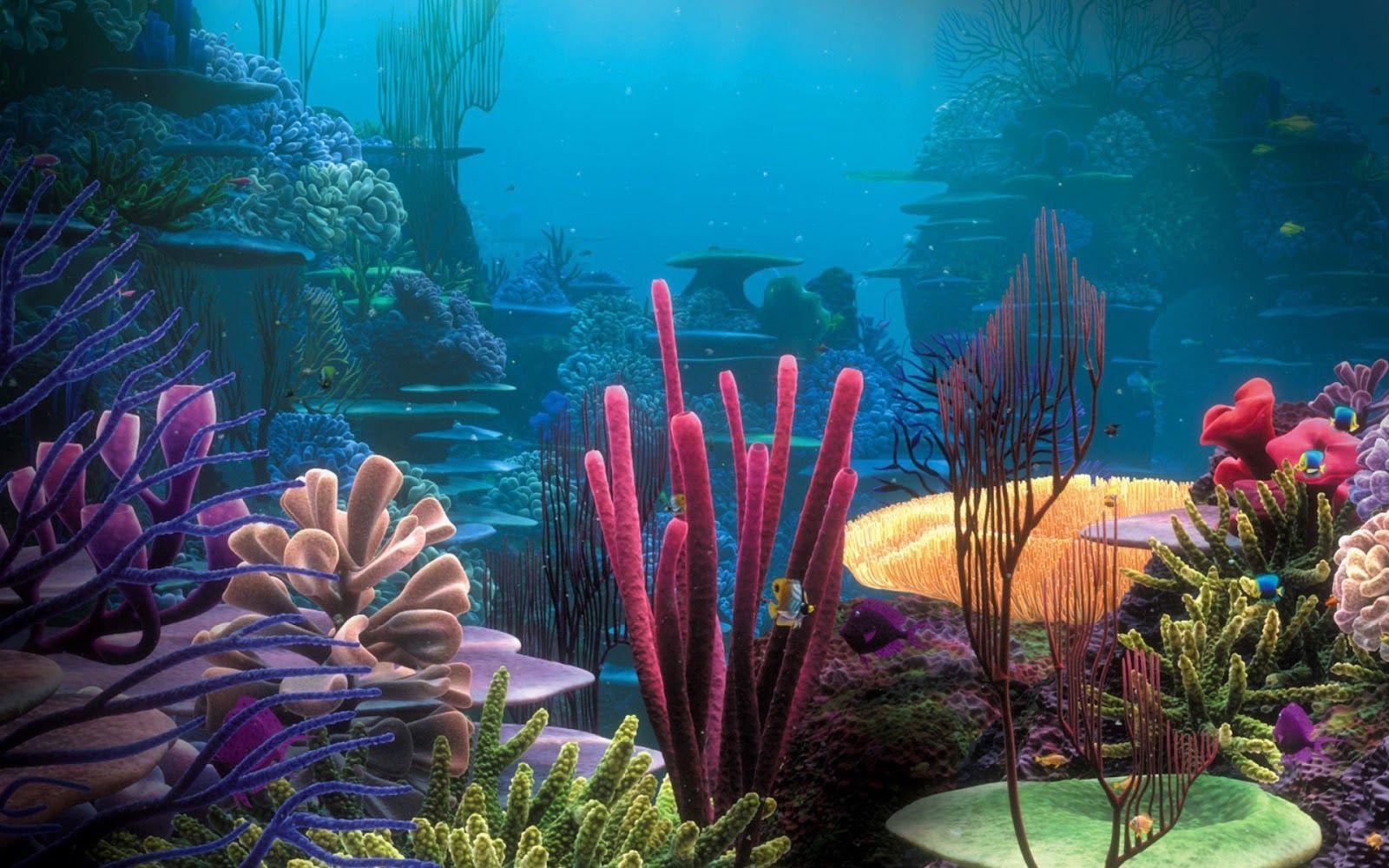 1600x1000 Free Ocean Wallpaper Beautiful Coral Reefs