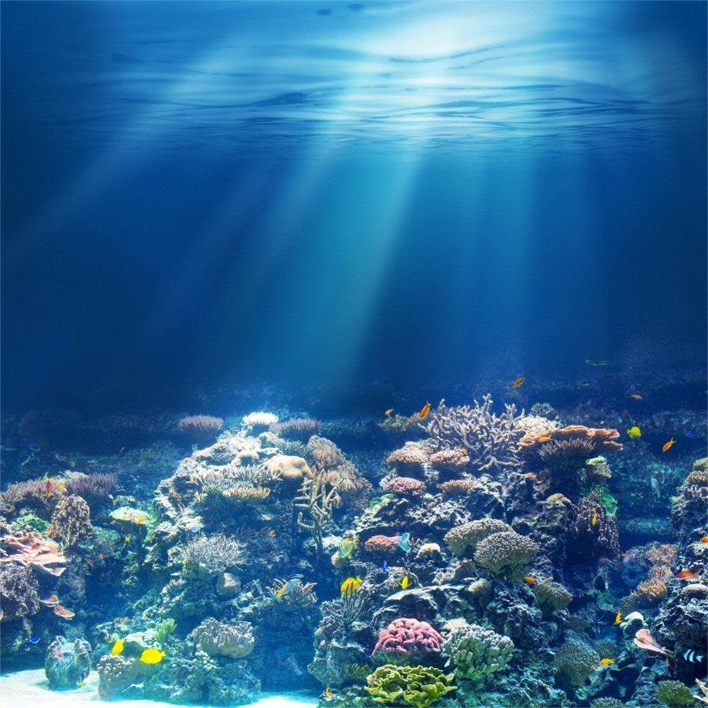 Beautiful Coral Reef Wallpapers - Top Free Beautiful Coral Reef ...