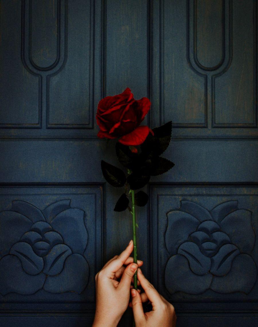 900x1137 Rose Wallpaper For Girls Flowers