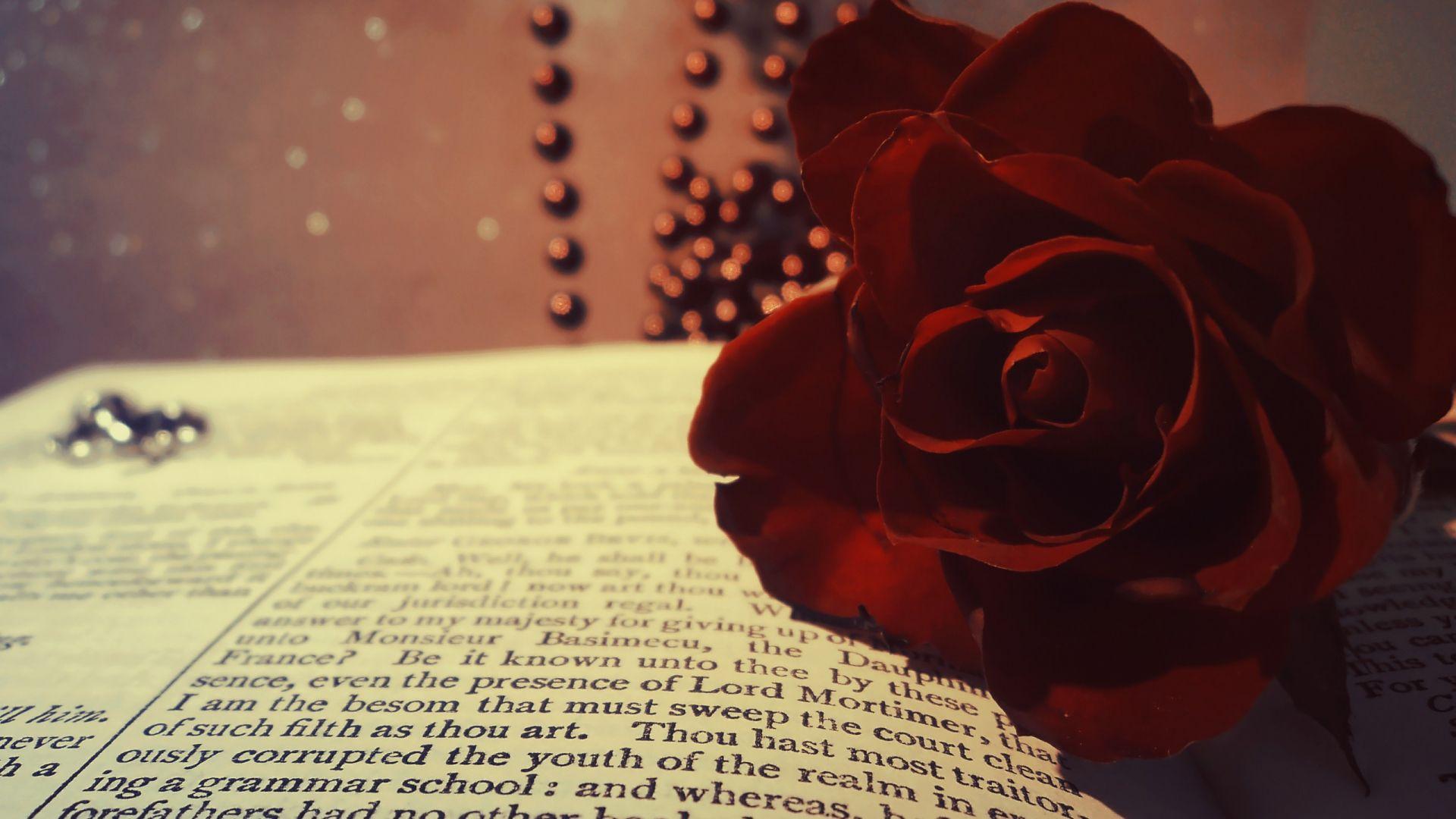 1920x1080 Free download book rose red burgundy flower beads macro bokeh wallpaper background [2560x1600] for your Desktop, Mobile & Tablet. Explore Burgundy Flower Wallpaper. Burgundy Wallpaper Designs, Burgundy Wallpaper for
