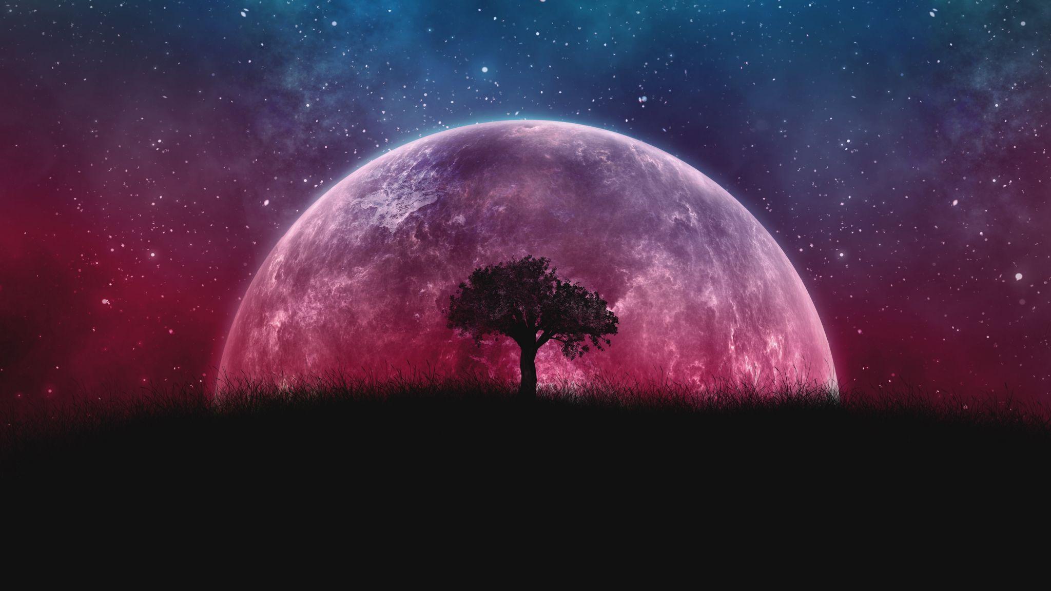 2048x1152 Download 2048x1152 wallpaper planet, silhouette, tree, moon, galaxy, stars, photohop, dual wide, widescreen, 2048x1152 HD image, background, 18545