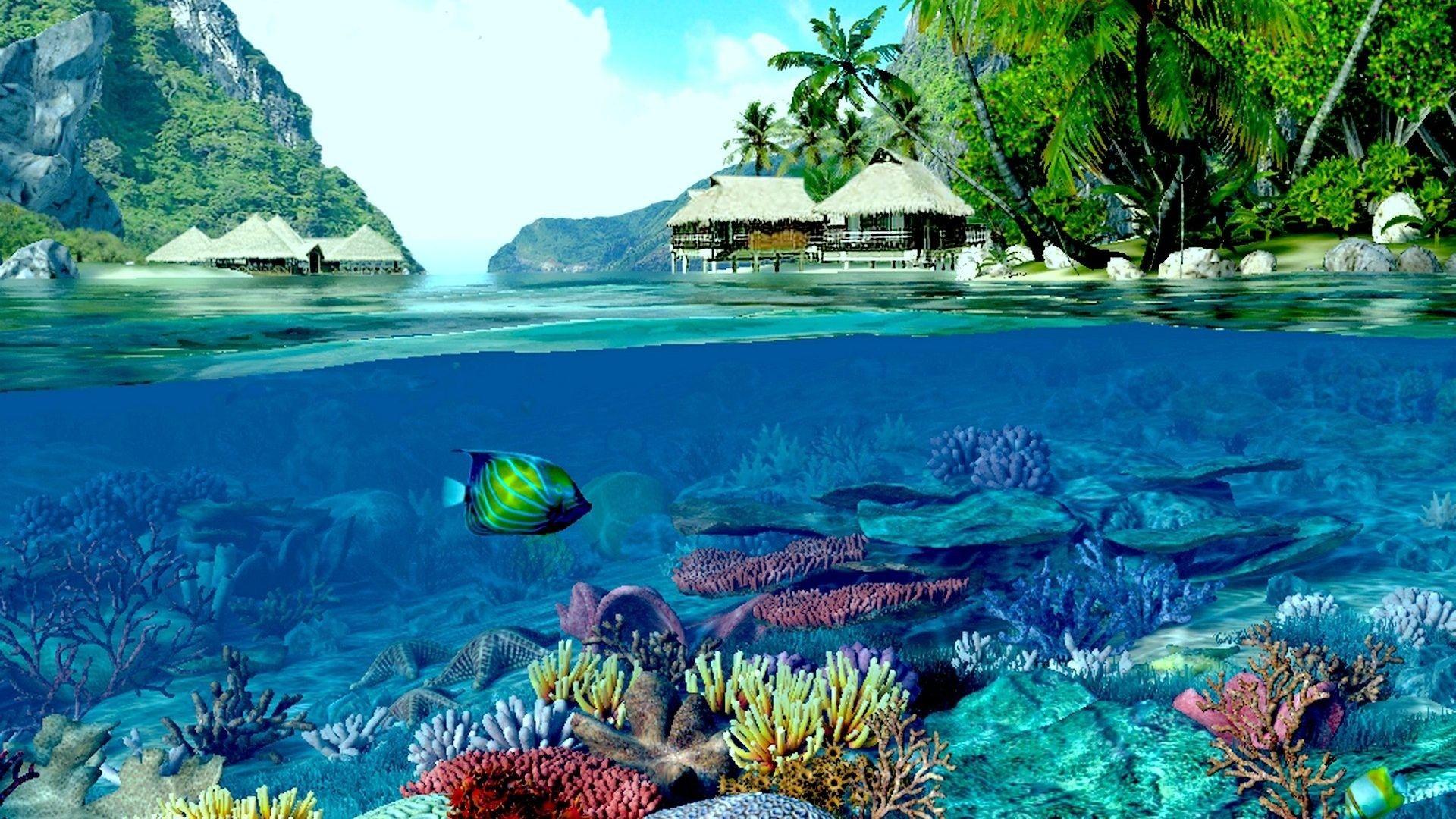 1920x1080 Coral Reef HD Wallpaper