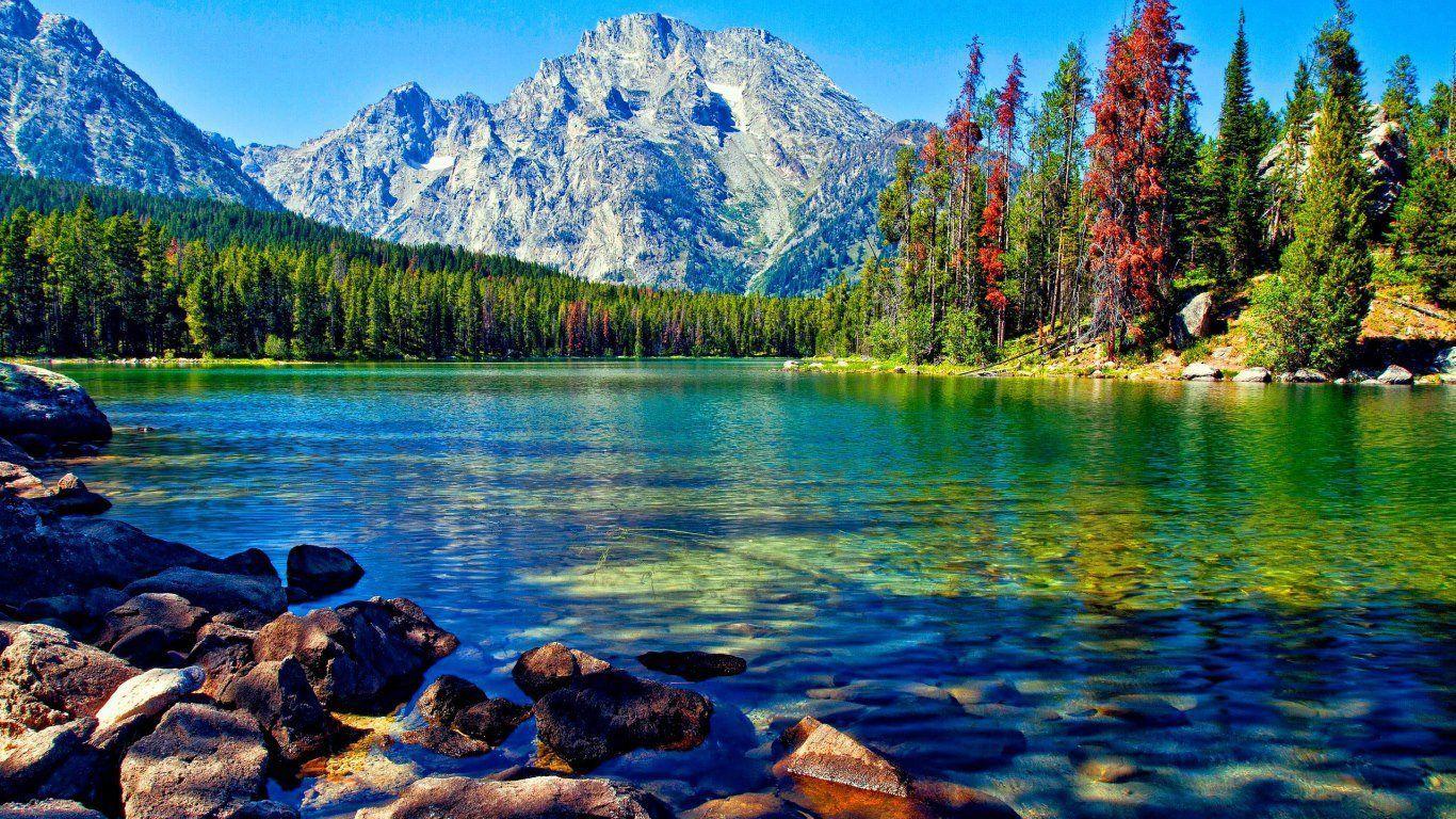 1366x768 Wallpaper In The World
