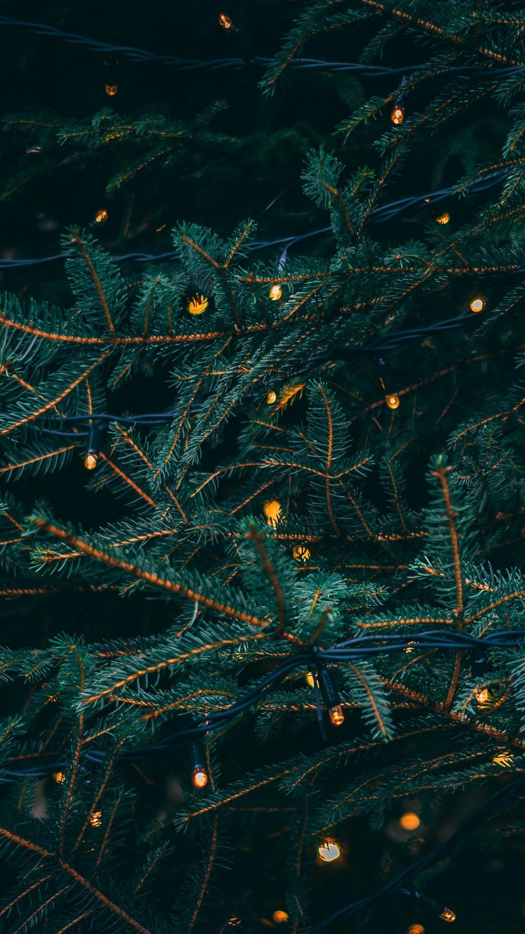 1080x1920 Christmas Pine Trees Wallpaper