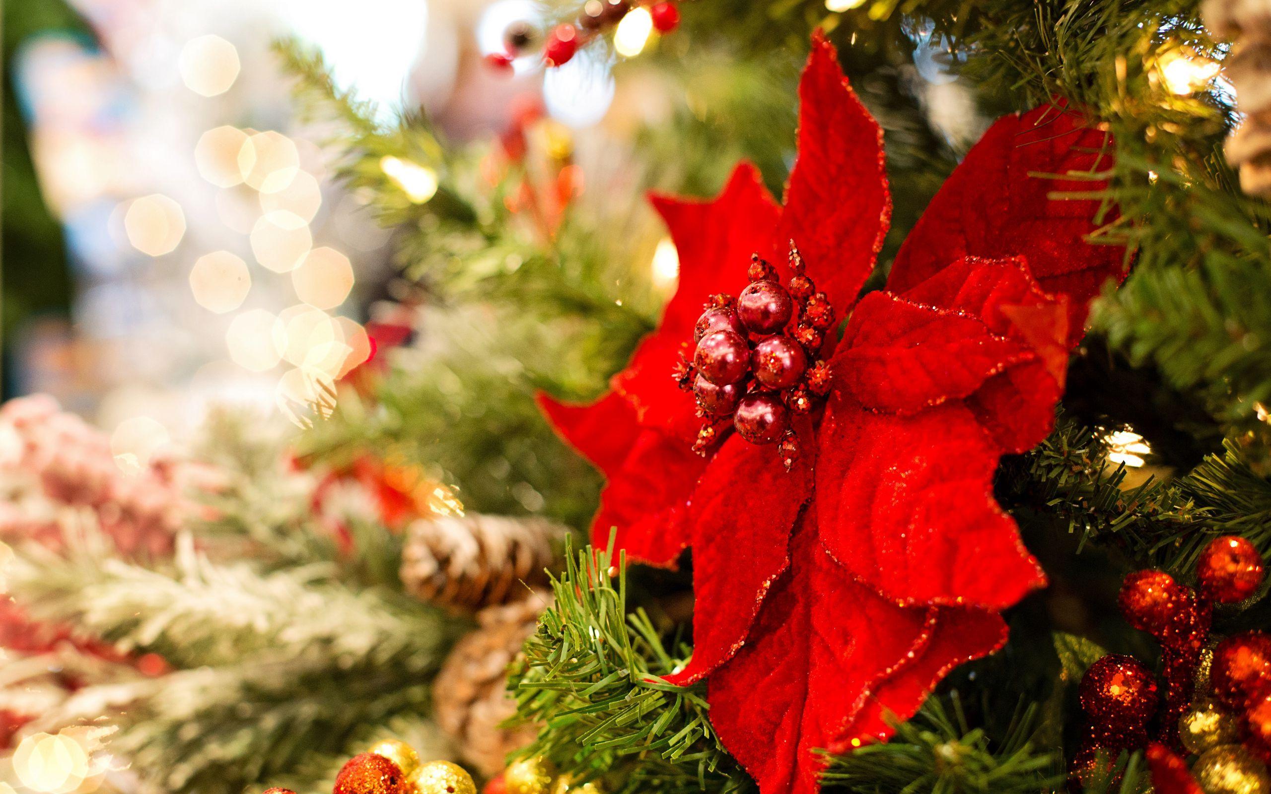 2560x1600 Download wallpaper 2560x1600 poinsettia, flower, decoration, leaves, tree, red, christmas, new year, festive widescreen 16:10 HD background