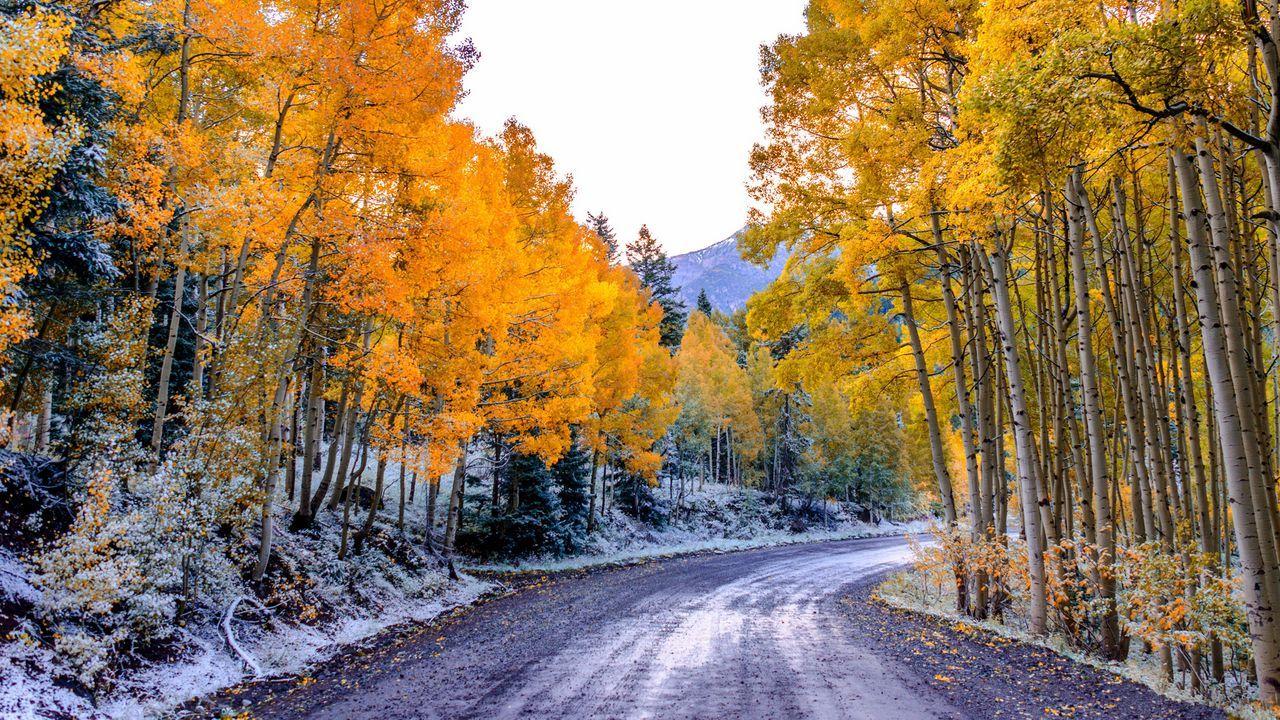 1280x720 Wallpaper aspen, colorado, usa, trees, fall, twist hd, picture, image