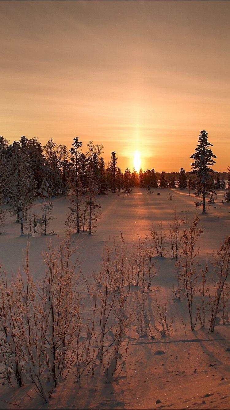 750x1334 Sunset, Snow, Trees, Winter, Dusk 750x1334 IPhone 8 7 6 6S Wallpaper, Background, Picture, Image