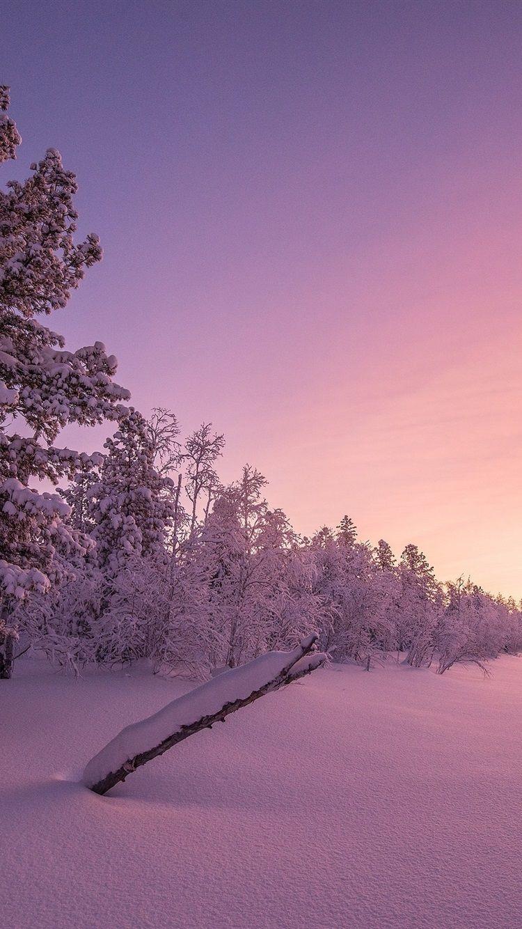 750x1334 Winter, Snow, Trees, Dusk, Sunset 750x1334 IPhone 8 7 6 6S Wallpaper, Background, Picture, Image