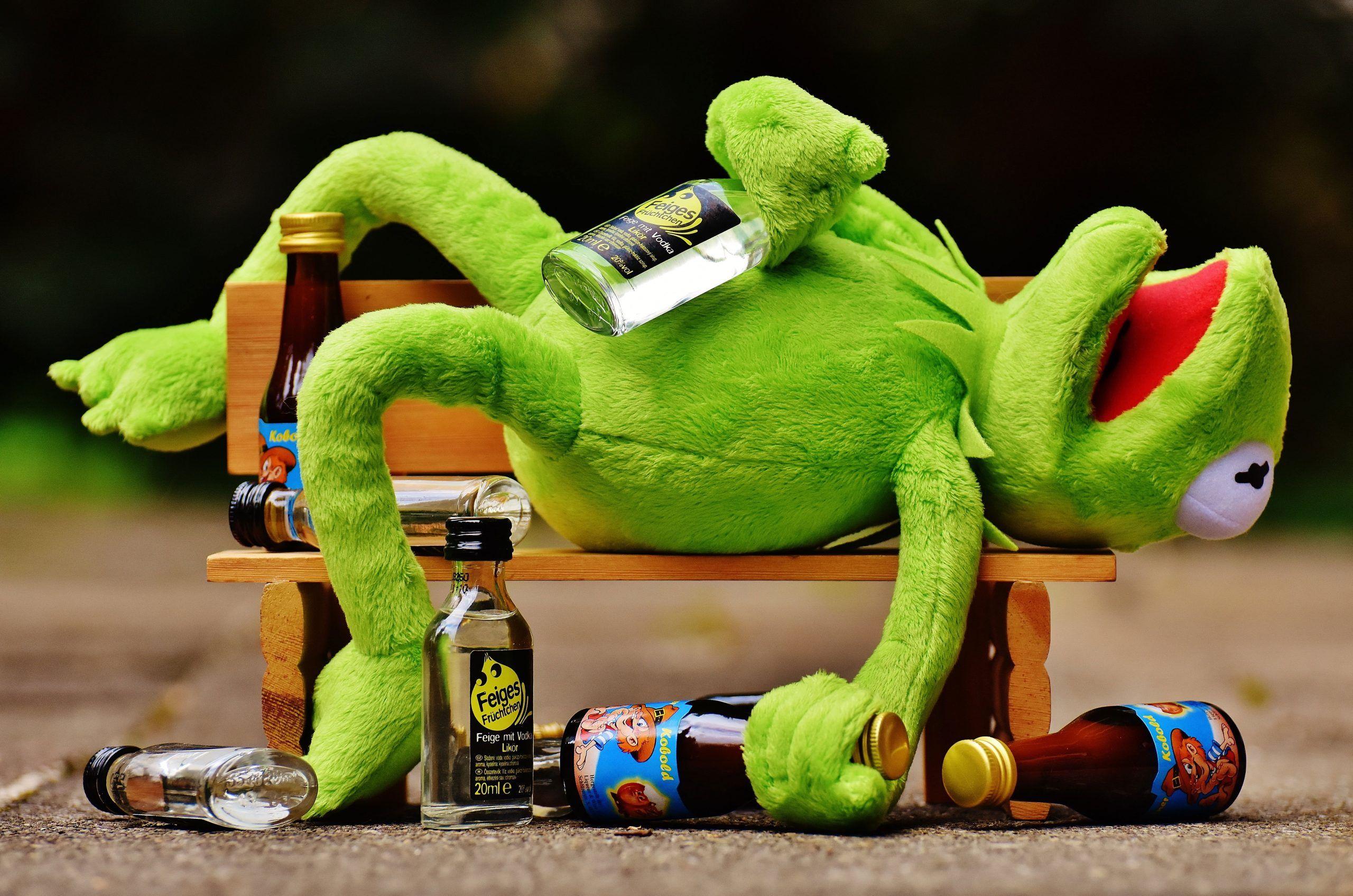2560x1695 Kermit the Frog with glass bottles lying on wooden bench wallpaper, drink • Wallpaper For You HD Wallpaper For Desktop & Mobile