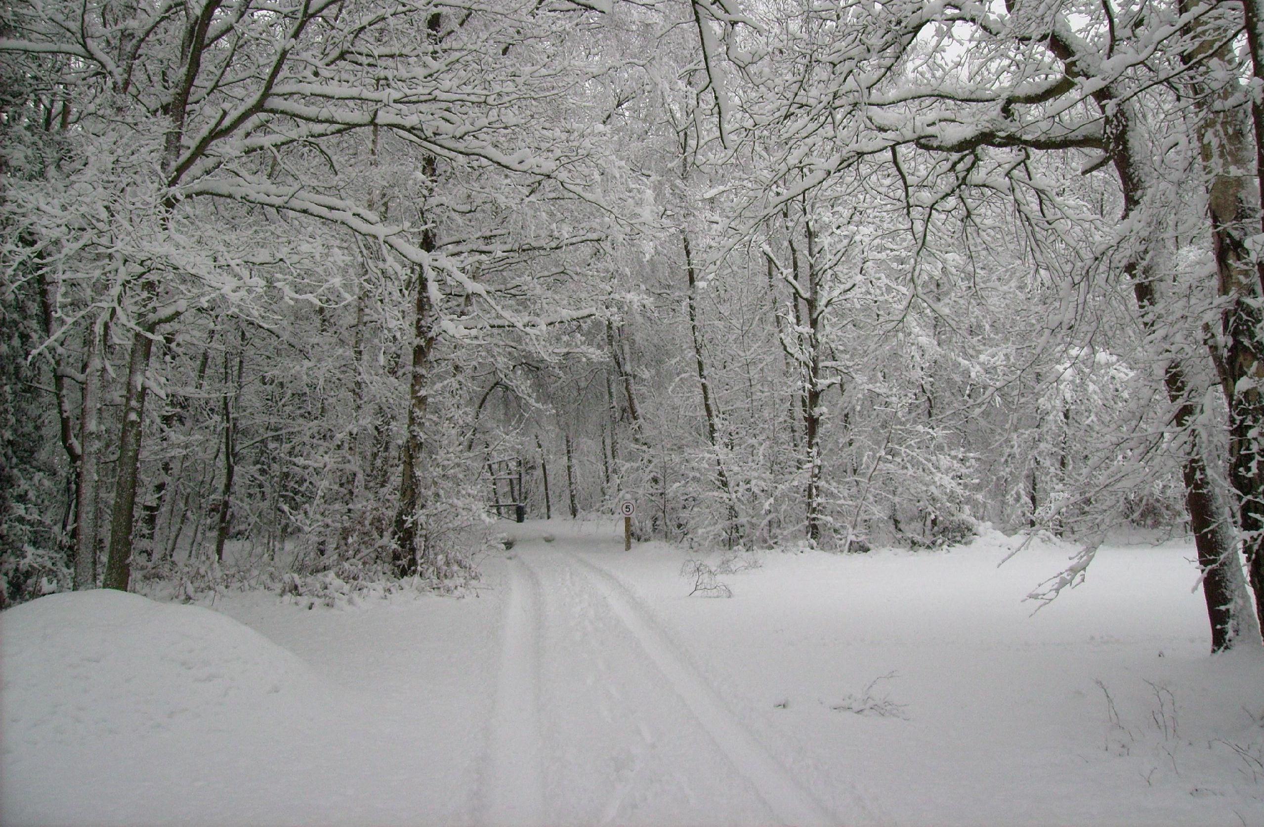 2558x1673 Snowscape Wallpaper. download next wallpaper prev wallpaper. Winter scenes, Nature picture, Nature