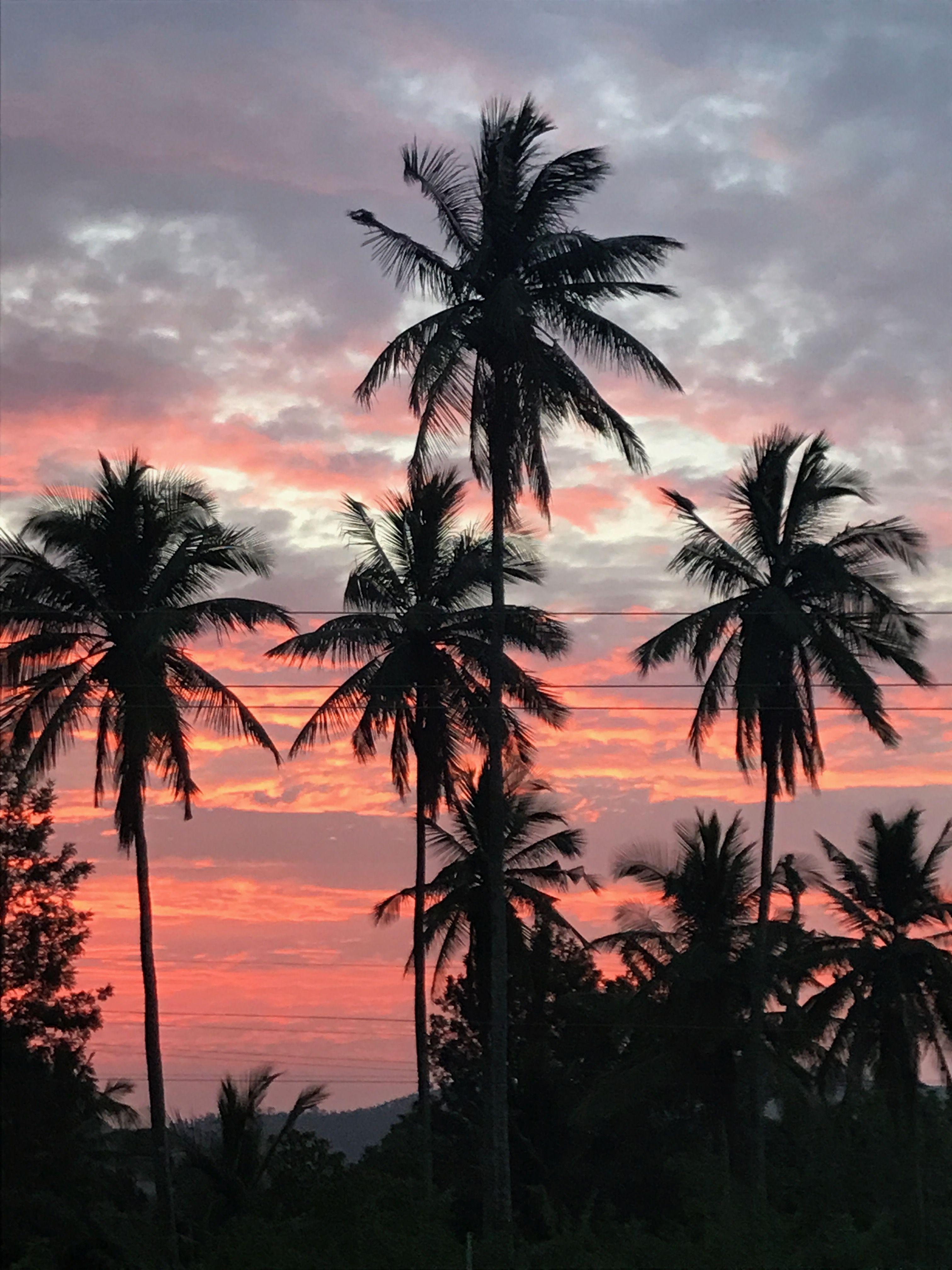 3024x4032 Sun set. Sky aesthetic, Nature photography, Palm trees wallpaper