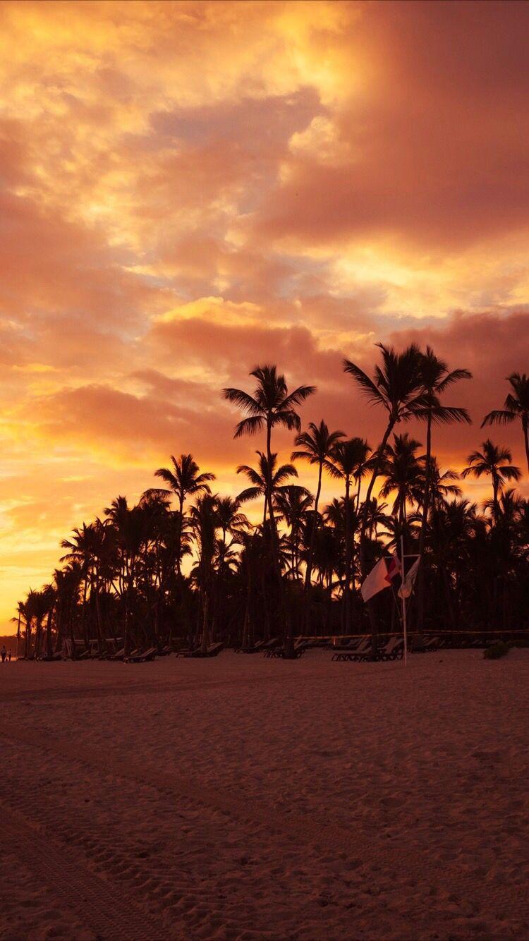 750x1334 Sunset Aesthetic Wallpaper Palm Trees