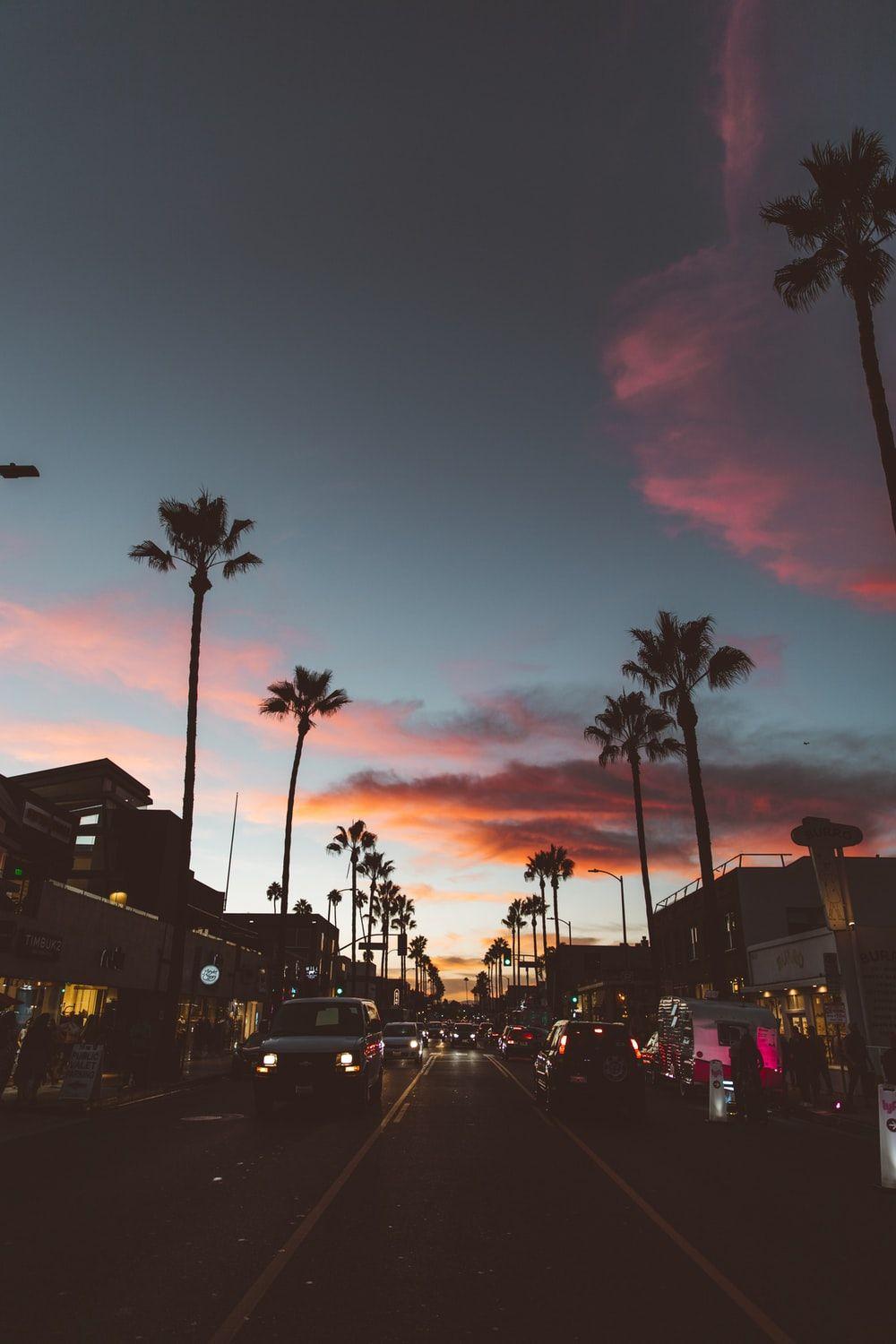 1000x1500 Sunset With Palm Tree Picture [Stunning!]. Download Free Image