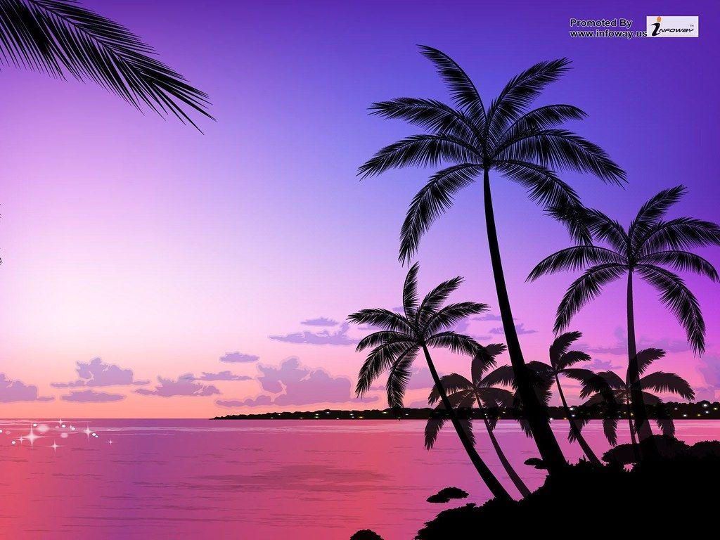 1024x768 Free download sunset palm trees HD wallpaper sunset palm trees HD wallpa Flickr [1024x768] for your Desktop, Mobile & Tablet. Explore Trending Palm Branch Wallpaper. Trending Palm Branch Wallpaper