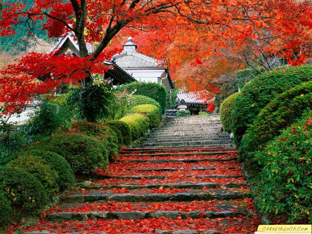 1024x768 PAISAJES ENCONTRADAS EN LA WEB. gif y paisajes hermosos del mundo