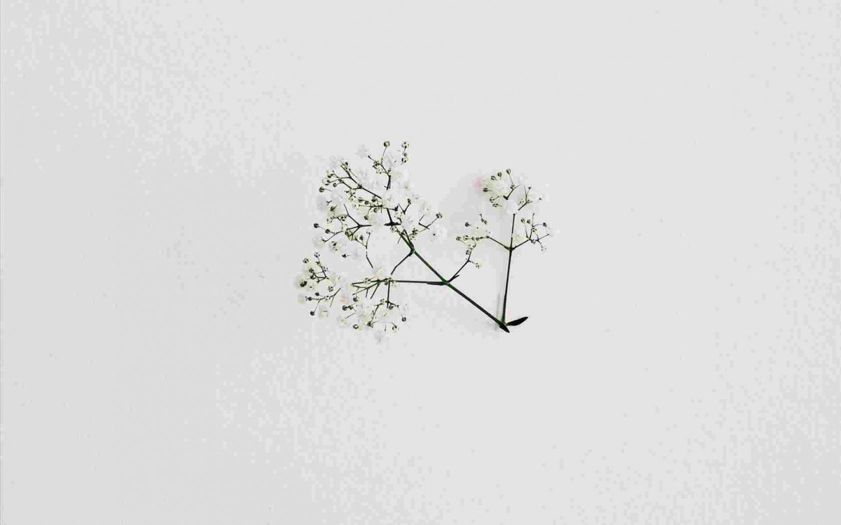 1680x1050 Minimalist Retro Desktop Wallpaper Aesthetic .