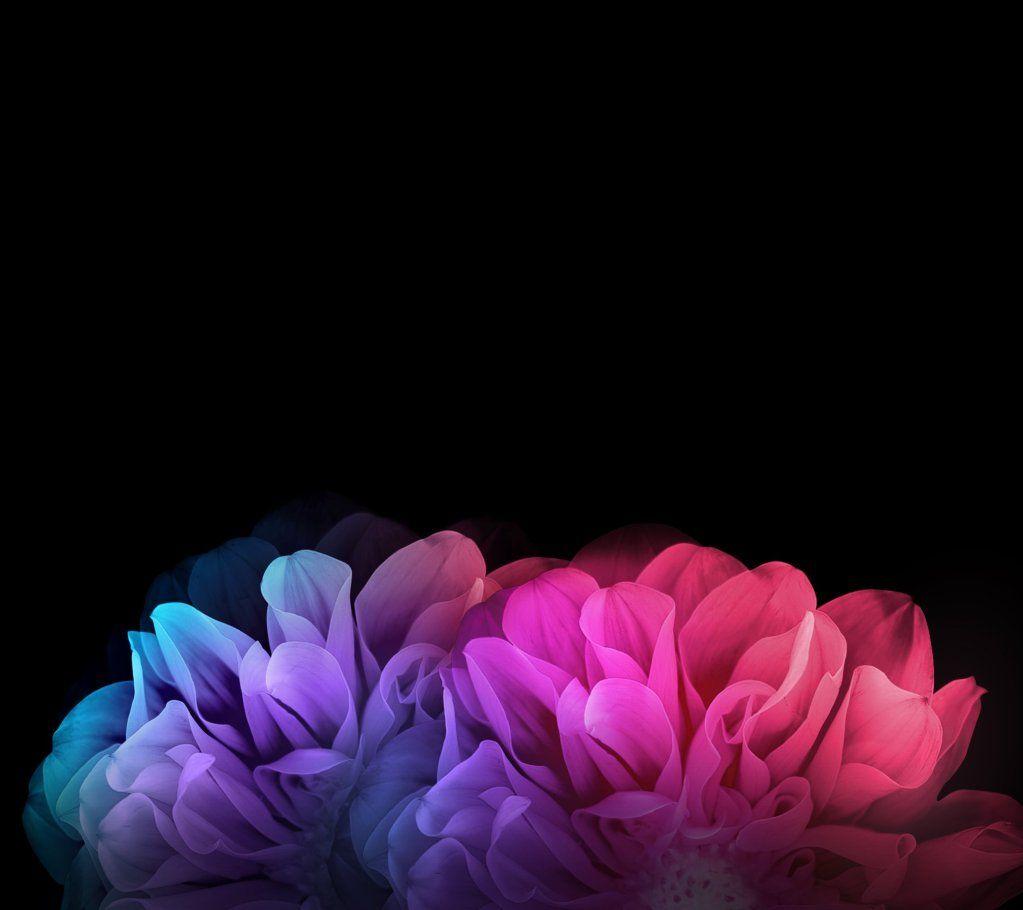 1023x910 QHD OLED Wallpaper Perfect For The High Contrast Display On The Apple IPhone X