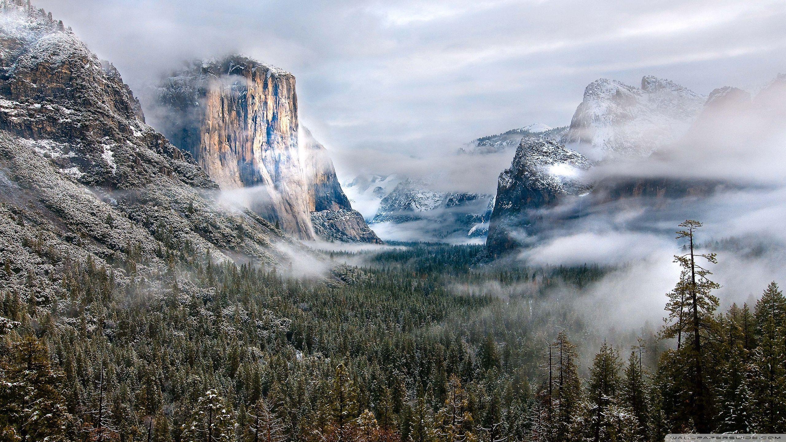 2560x1440 Yellowstone National Park HD Wallpaper