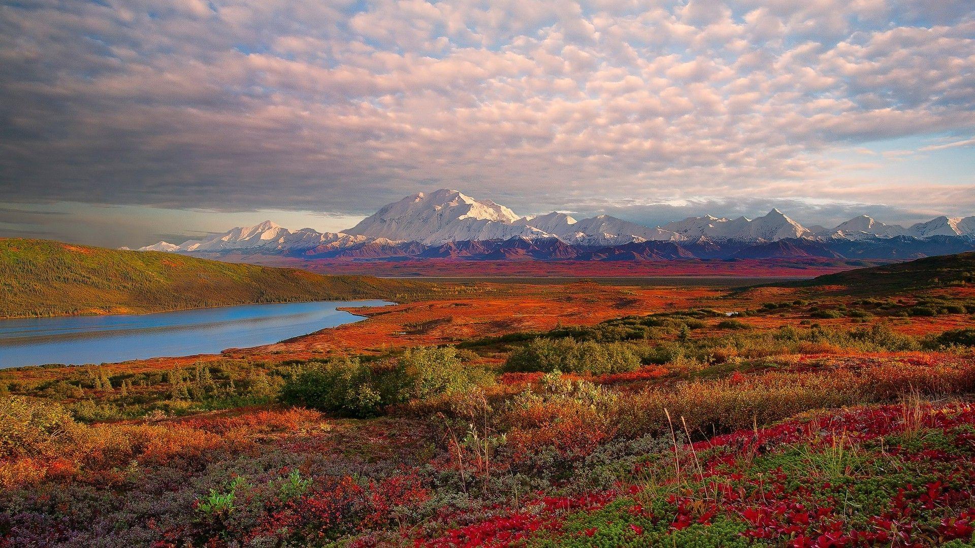 1920x1080 Denali National Park HD
