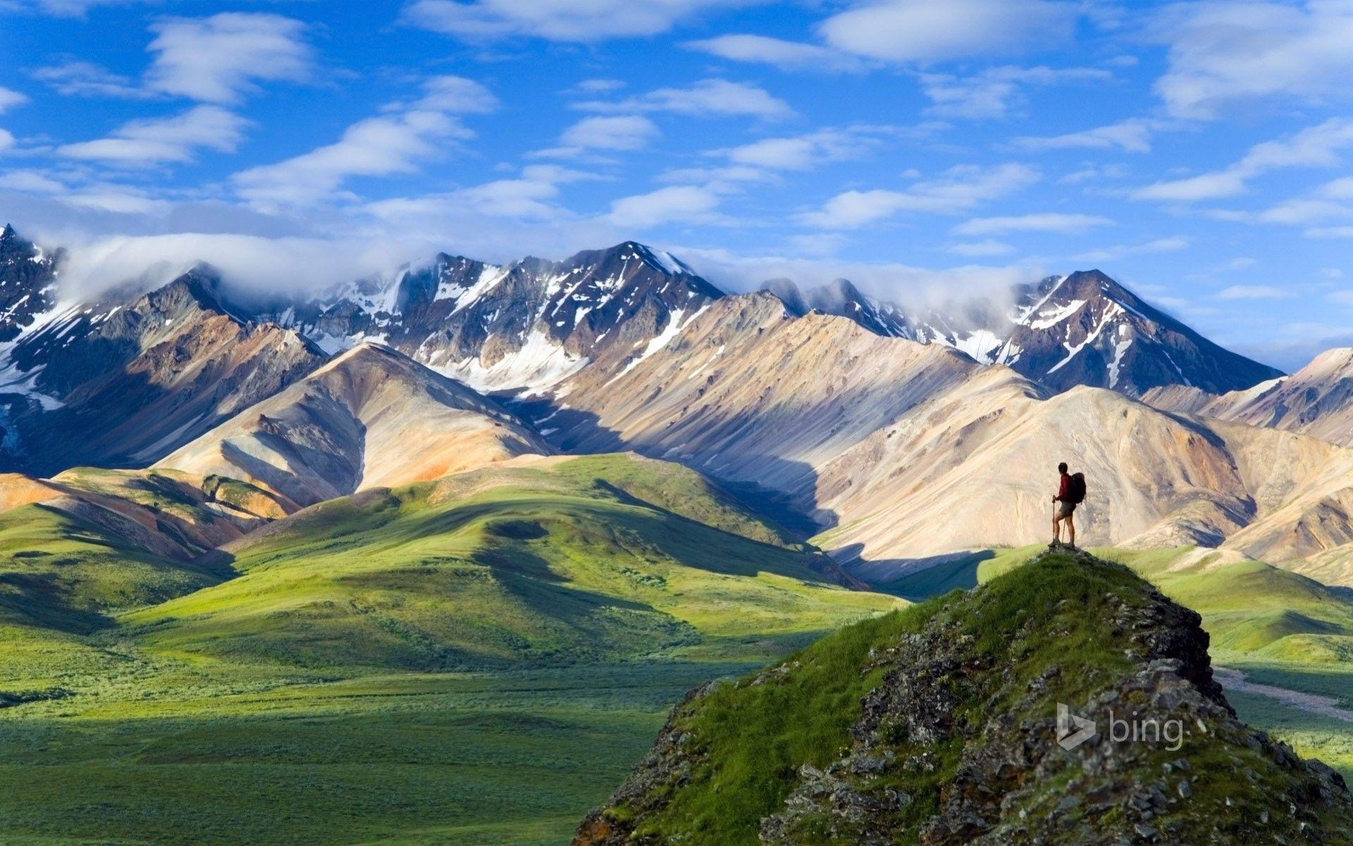 1920x1200 Denali National Park Wallpaper