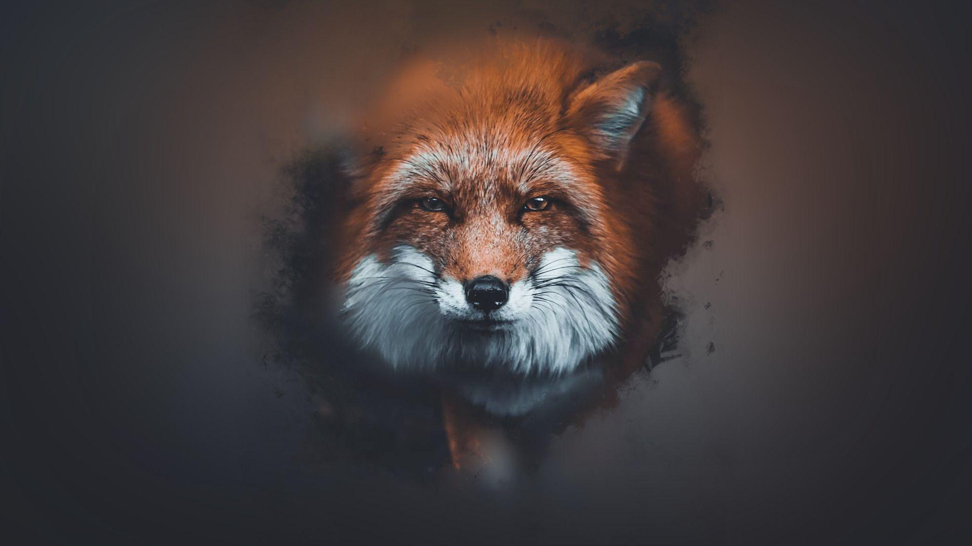 1920x1080 Minimal Abstract Fox Wallpaper