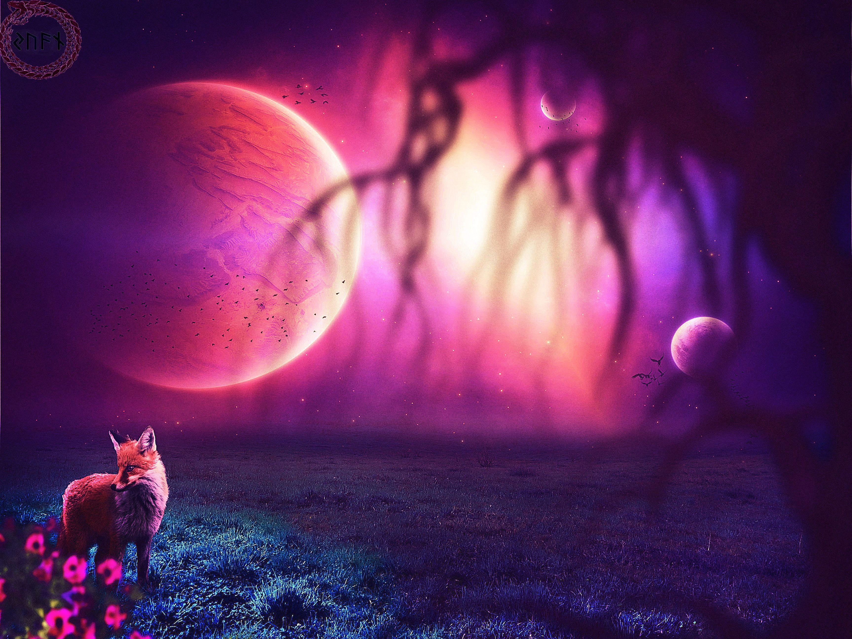 3455x2592 Galaxy Fox Wallpaper