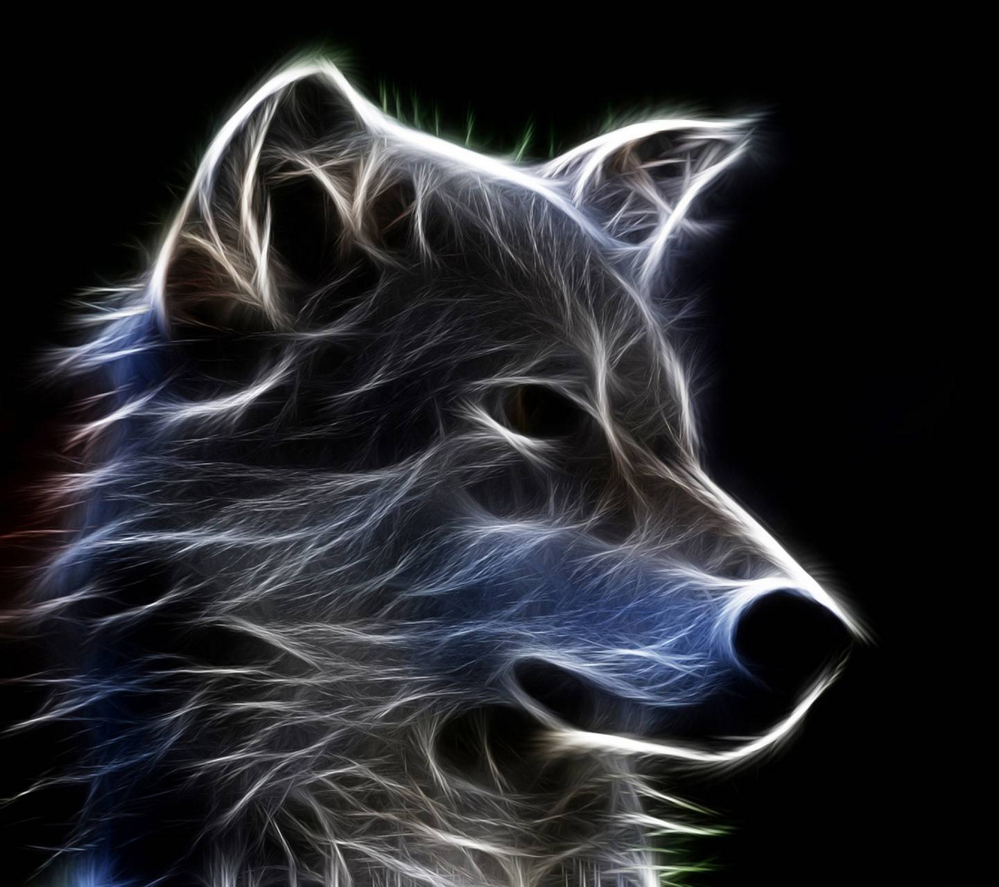1441x1280 Wolf Furry Neon wallpaper