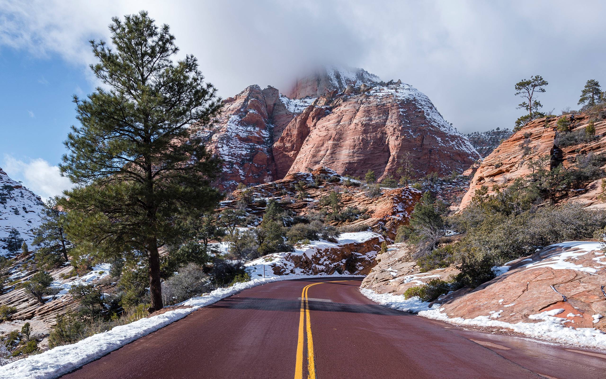 2560x1600 Zion National Park HD Wallpaper