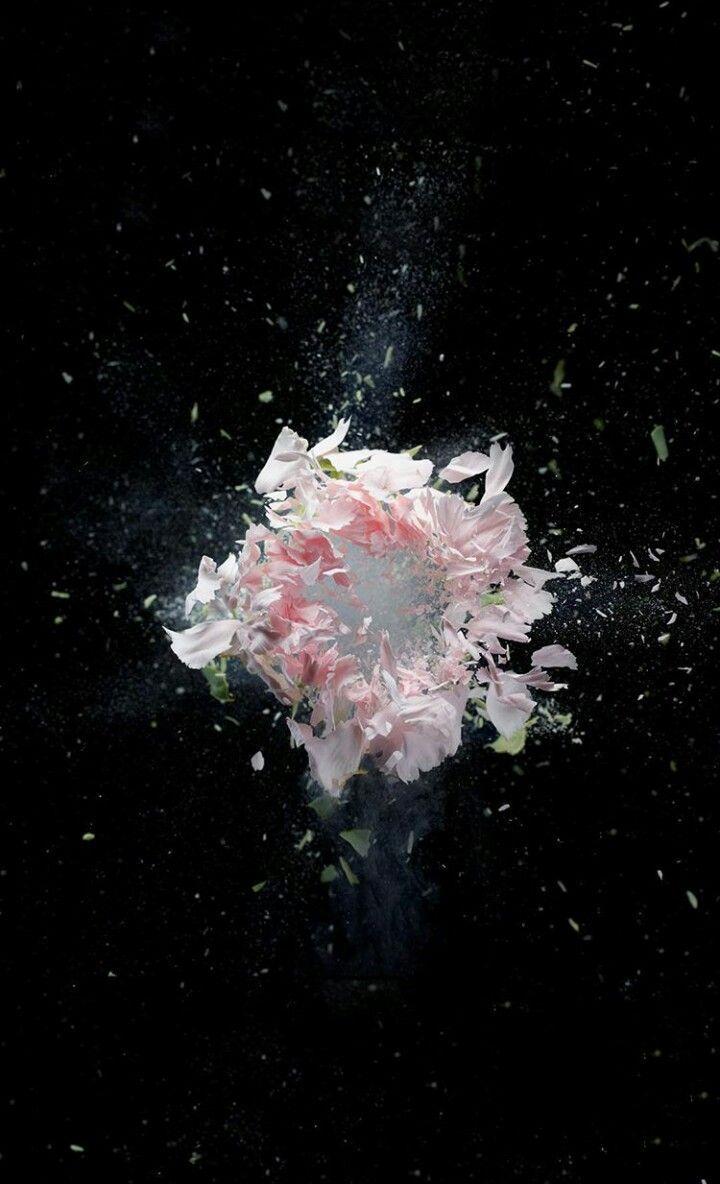 720x1184 Zedd's new single the middle cover art. Zedd, Beautiful art, Wallpaper
