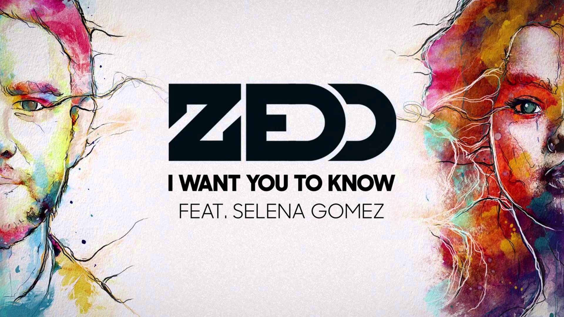 1920x1080 Zedd Wallpaper