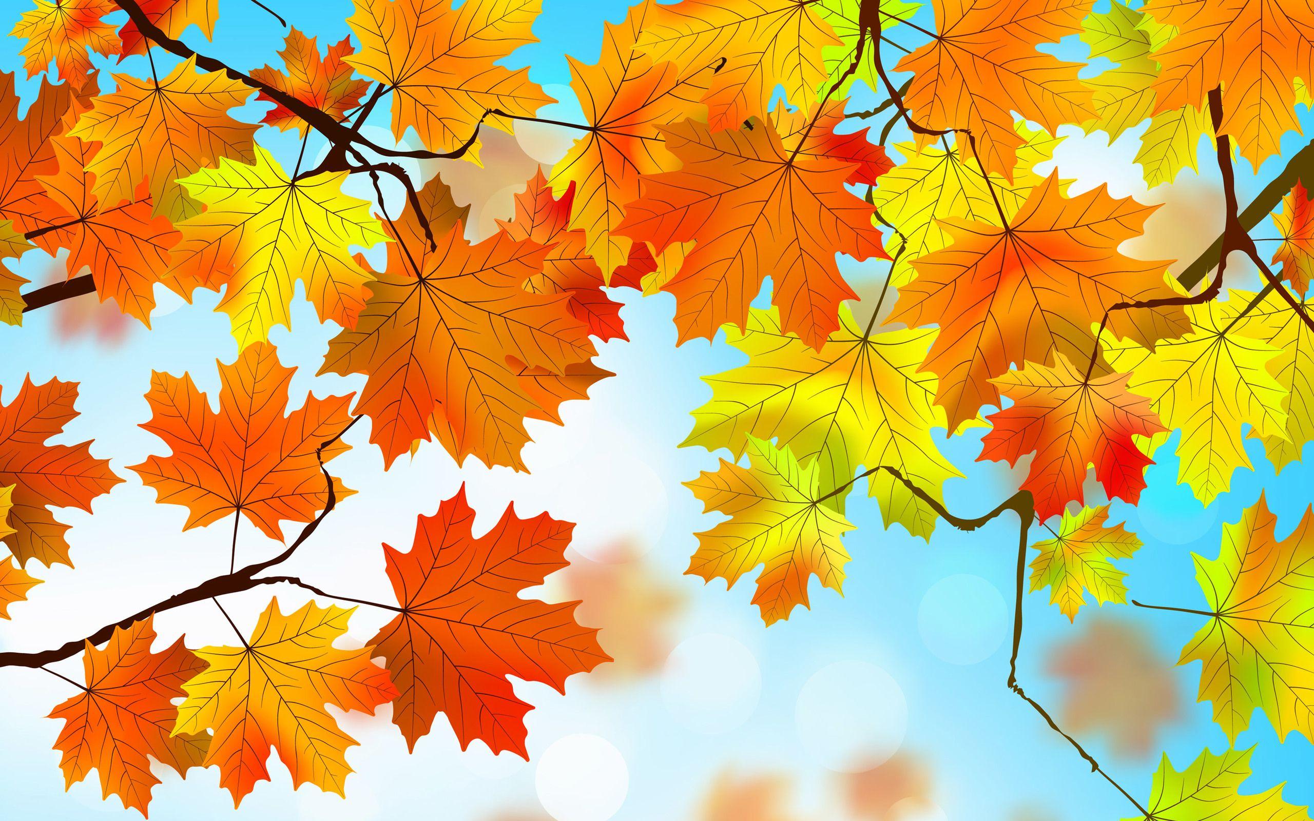2560x1600 Autumn Leaves HD Wallpaper