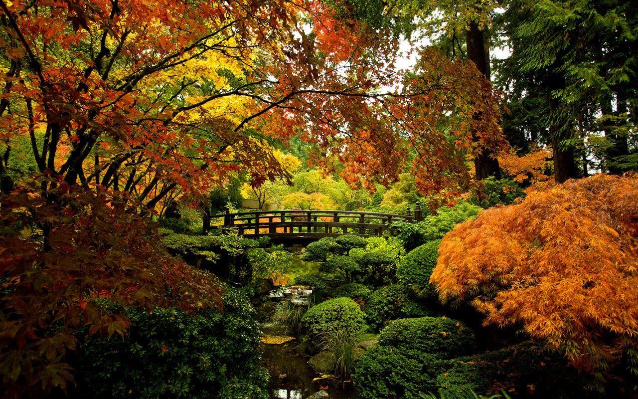 Japanese Fall Wallpapers - Top Free Japanese Fall Backgrounds ...