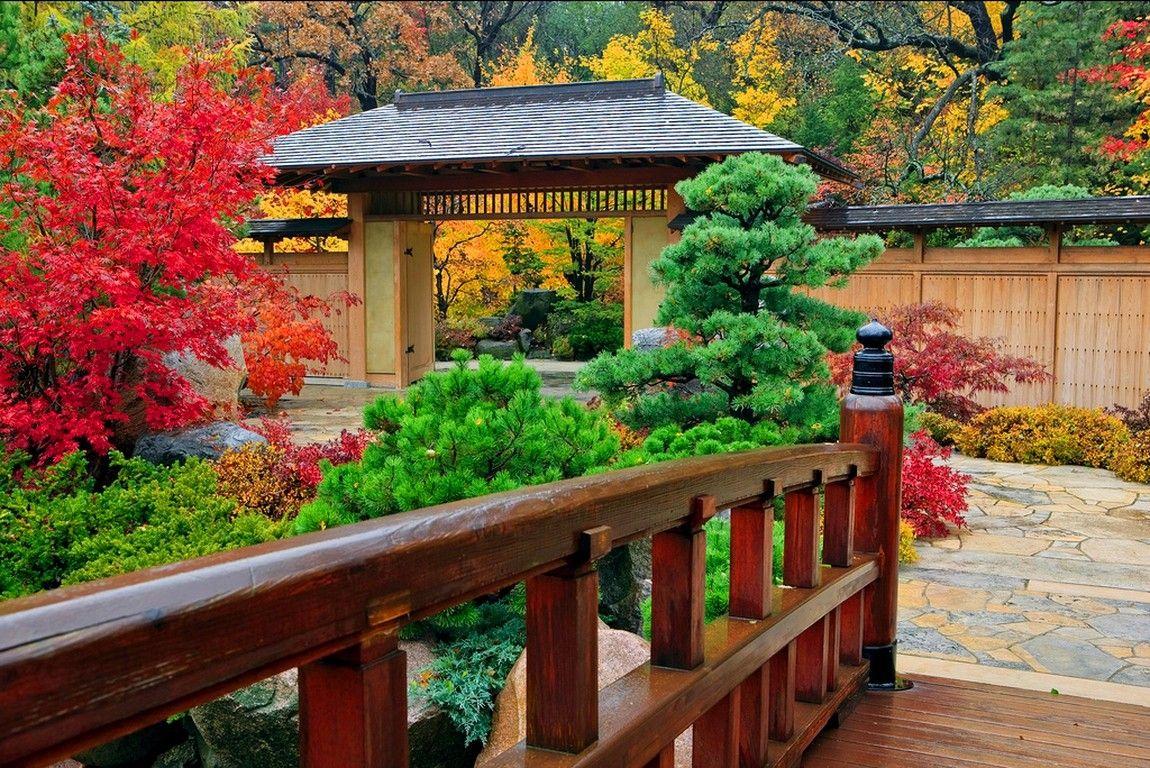 Japanese Fall Wallpapers Top Free Japanese Fall Backgrounds