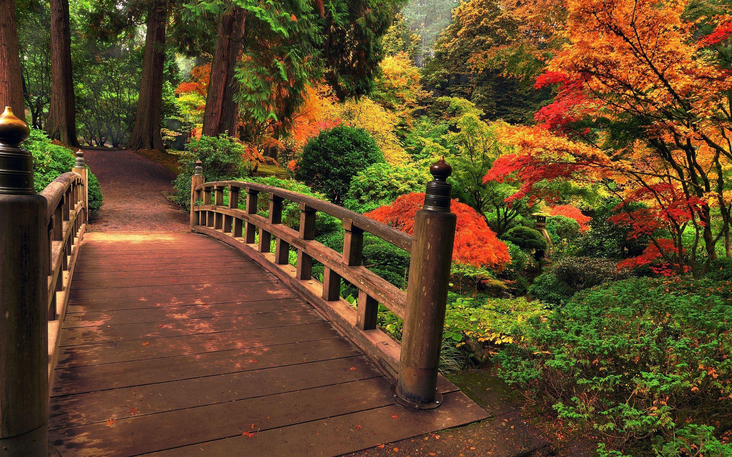 2560x1600 Bridges: Japanese Garden Autumn Colors Path Trees Fall Wallpaper