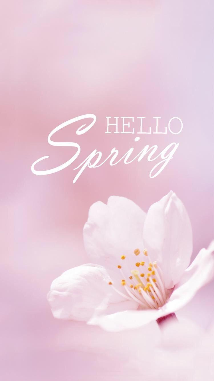750x1334 Spring!!. нежный. Spring, Wallpaper and Sketchbook ideas