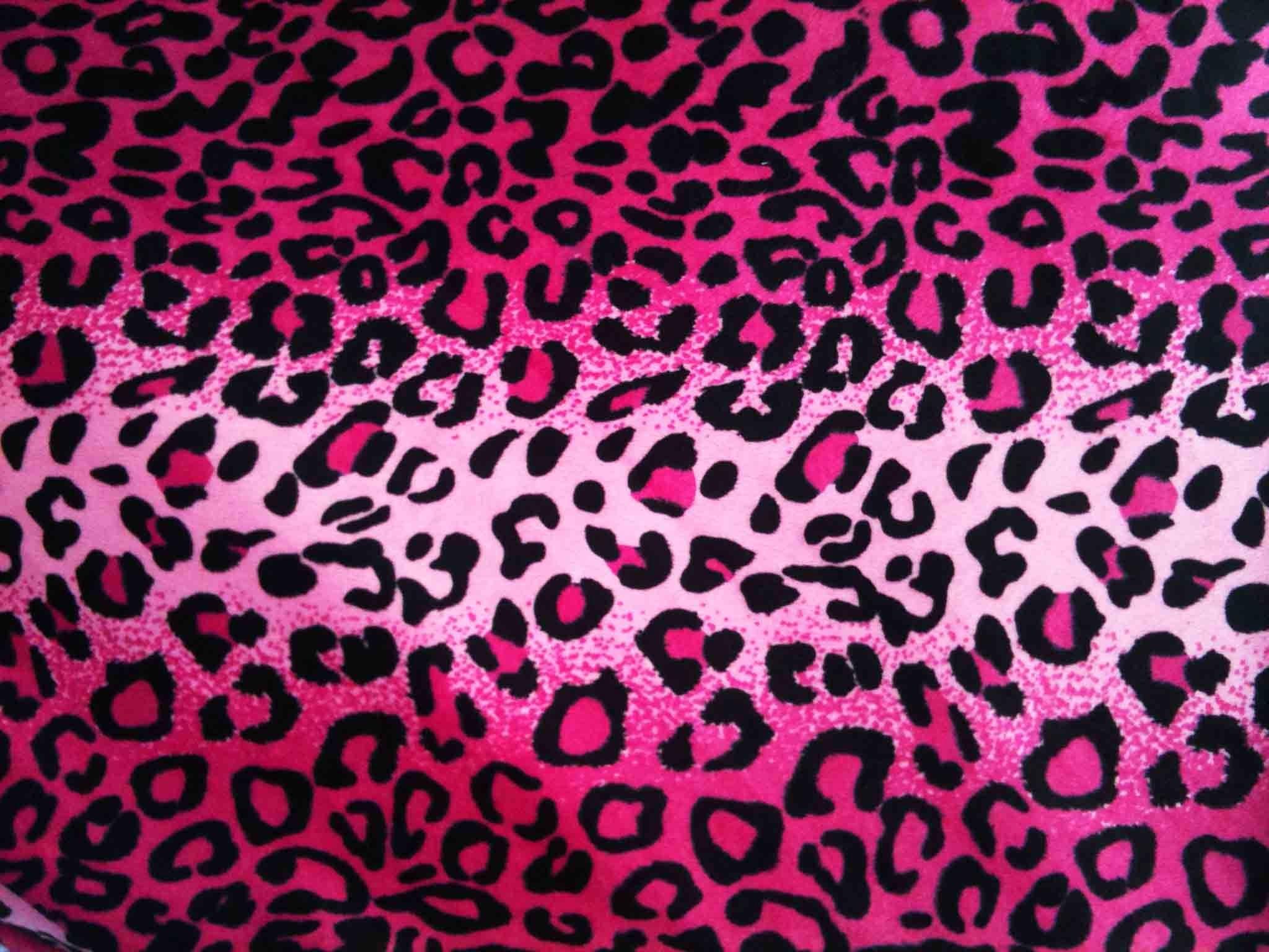 2048x1536 HD Rainbow Cheetah Print Wallpaper