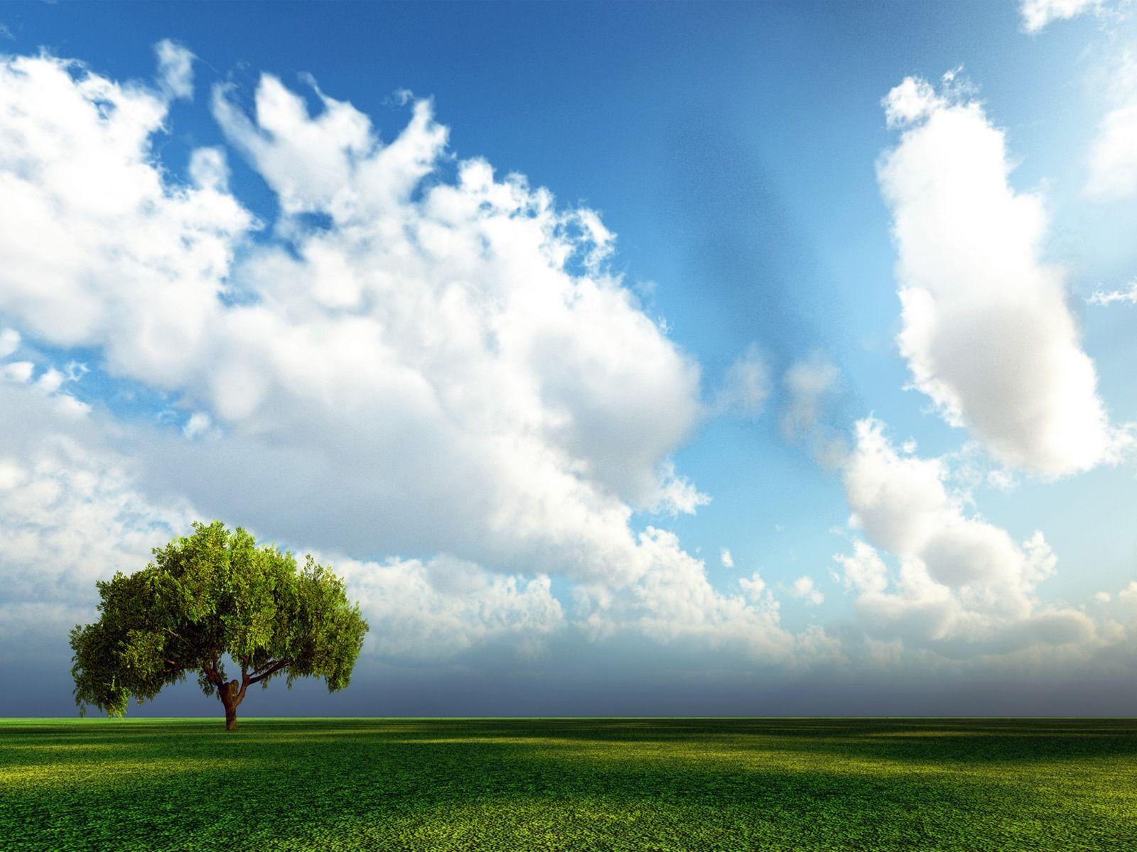 1600x1200 Springtime Wallpaper Landscape Nature Wallpaper in jpg format
