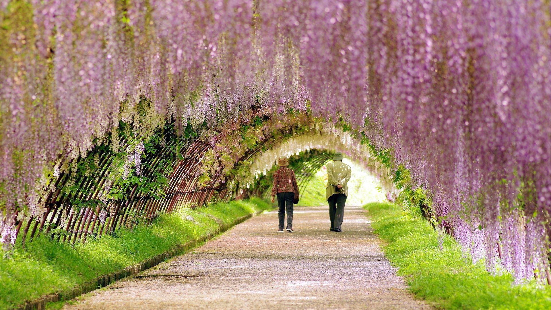 1920x1080 springtime wallpaper for desktop