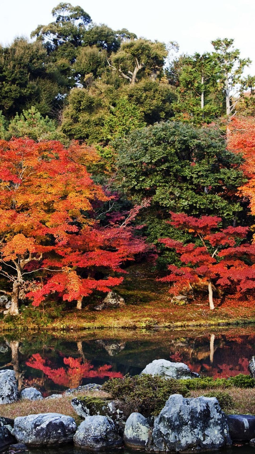 1080x1920 Japan autumn japanese gardens lakes colors maple wallpaper