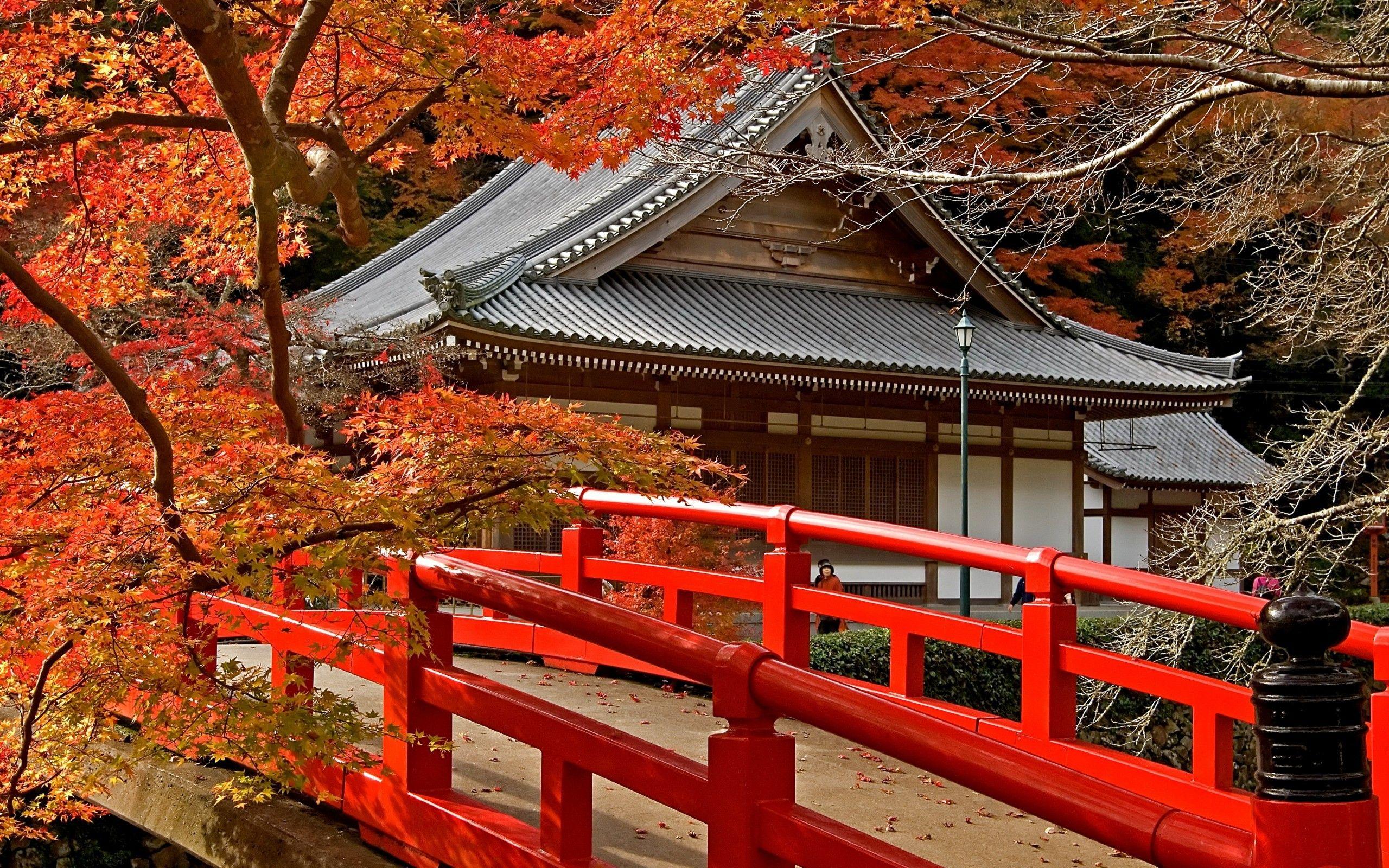 2560x1600 Other: Trees Autumn Red Fall Nature Beautiful Japan Background