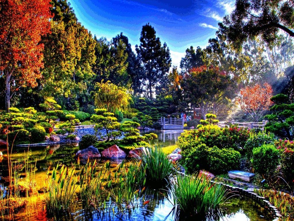 1024x768 Other: Japanese Garden Autumn Nature Fall Season Wallpaper