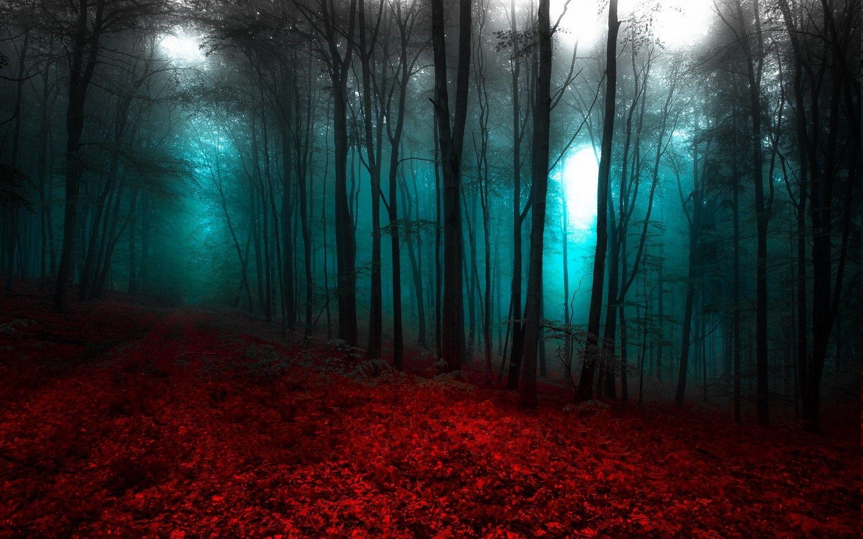 1700x1063 Blue Forest Best Wallpaper 25597
