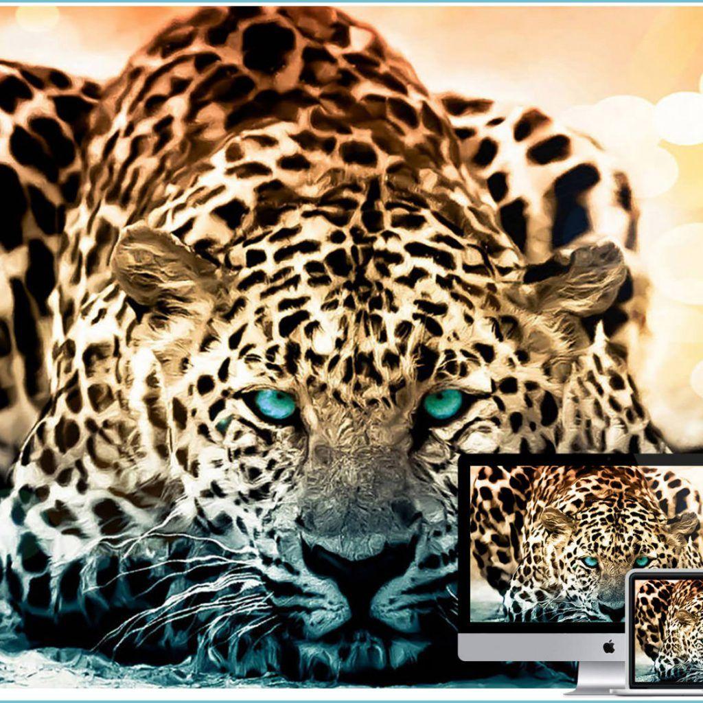 1024x1024 Cool Animal iPhone Wallpaper animal wallpaper