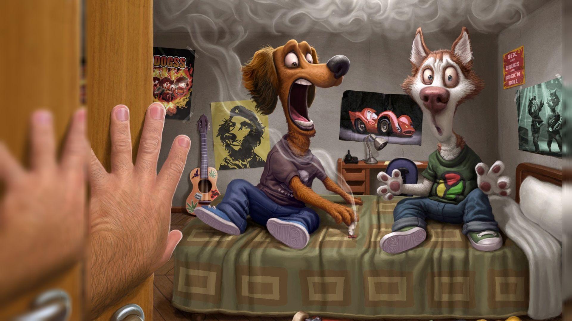 1920x1080 Funny Wallpaper 1920x1080