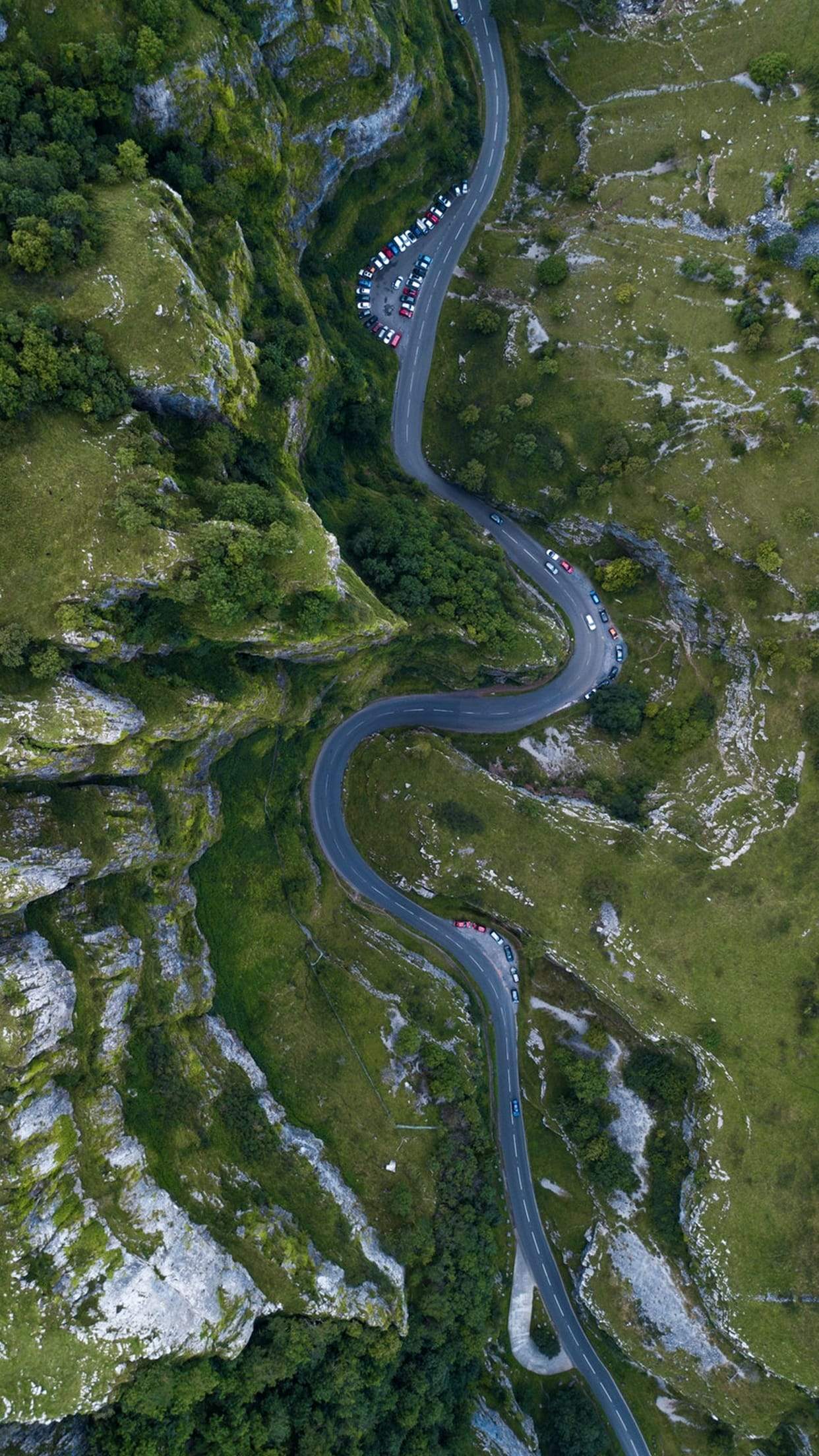 1242x2208 Cycling iPhone Wallpaper