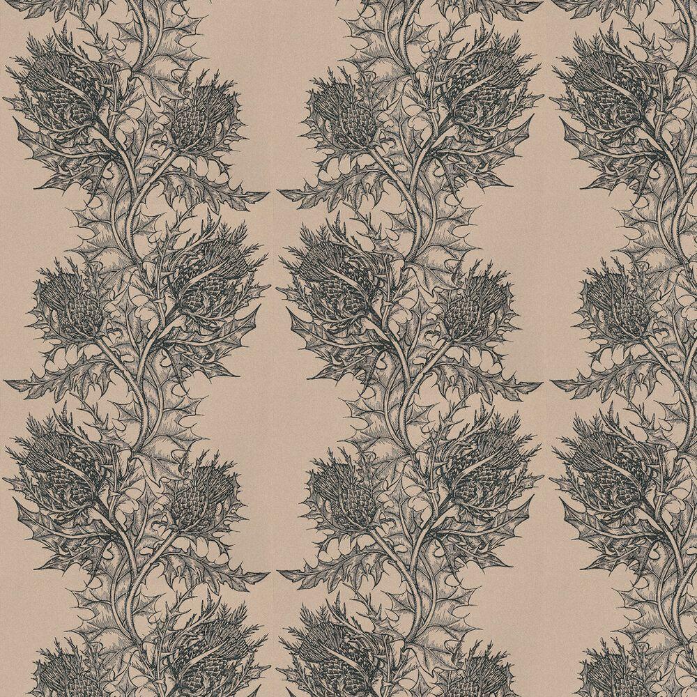 1000x1000 Thistle by Timorous Beasties / Stone : Wallpaper Direct